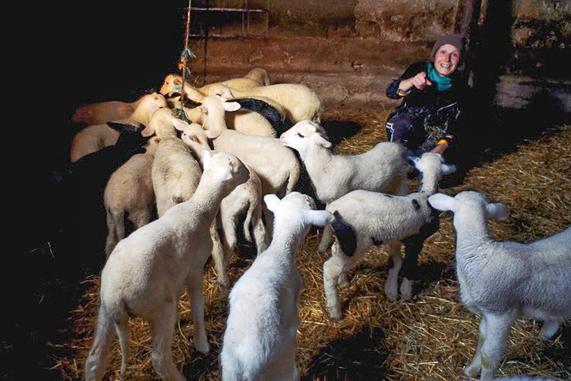 Јасмина е магистер  а сега  одгледува овци и ги руши стеротипите во Македонија