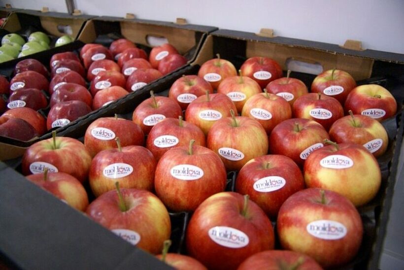 Како малата Молдавија се најде меѓу 10-те најголеми извозници на јаболка во светот?