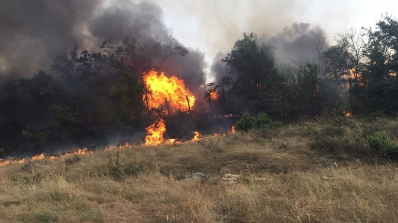 Ланските пожари направија штета од 40 милиони евра