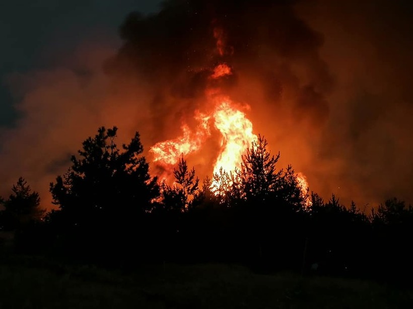 Во пожарите летово изгореа 482.106 метри кубни дрва, штетата е 2 318 091 000 денари