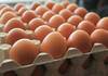 ВНИМАНИЕ: Еве колку долго можете да чувате тврдо варени јајца во фрижидер