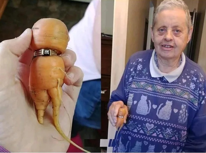 Овaa жена го пронашла својот изгубен прстен 13 години подоцна кога во него израснал морков