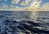 Океаните соборуваат температурни рекорди!