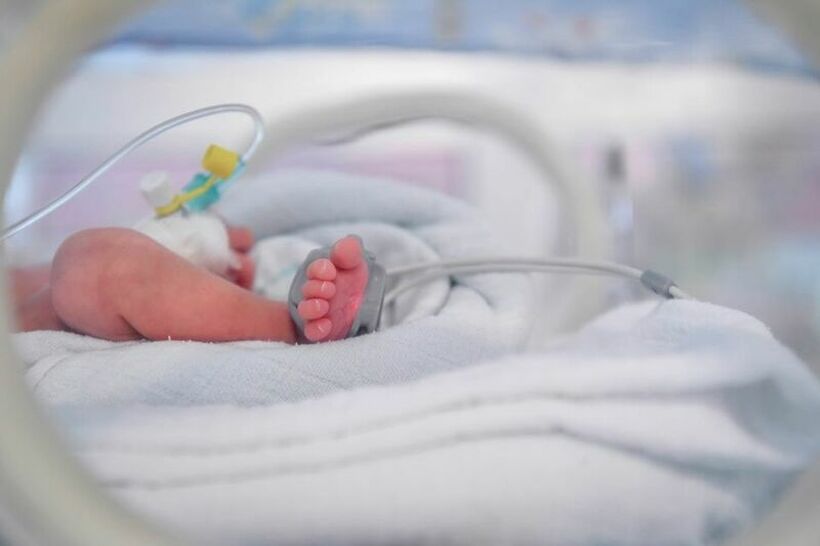 Во Куманово, Тетово и Чаир се раѓаат најмногу бебиња, а најмалку во Зрновци, Лозово и Вевчани
