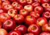 Од утре Русија забранува увоз на македонски јаболка!