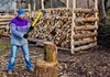 Пехчевец нуди почетна плата од 1.000 евра за дрвосечачи