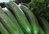 Драстичен пад на цената на краставиците од вчера до денеска