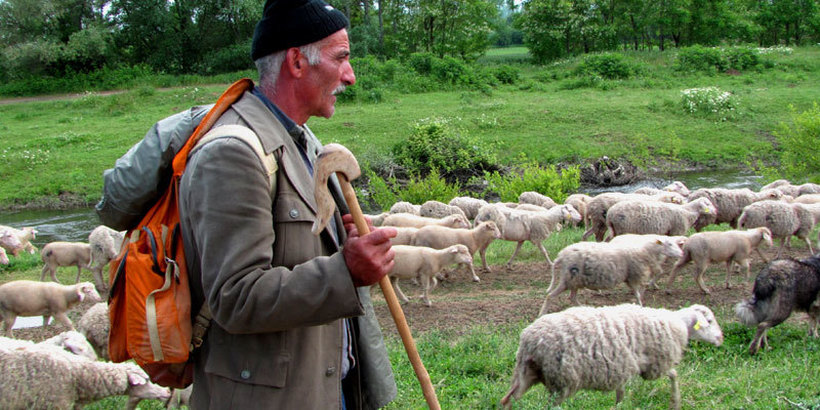 Сточарите бараат враќање на субвенциите по старо, во спротивно државата ќе остане без овци