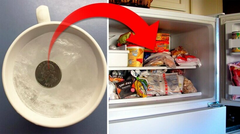 Еве зошто треба да ставите паричка во замрзнувач пред да одите на одмор: Малку познат трик кој го воодушеви целиот интернет