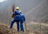 Нова акција за пошумување на САСА: Засадени 5000 садници во близина на рудникот