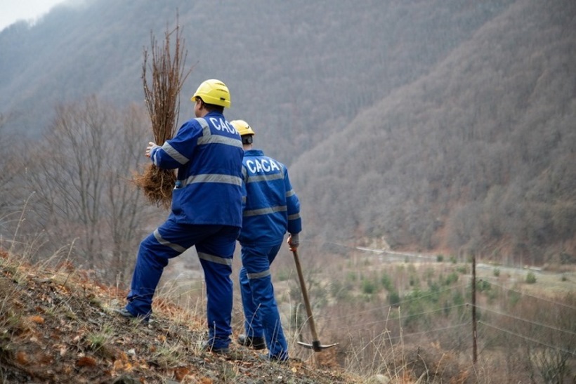 Нова акција за пошумување на САСА: Засадени 5000 садници во близина на рудникот