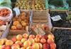 Кој купи поевтино - купи: Овошјето и зеленчукот поскапуваат за празниците