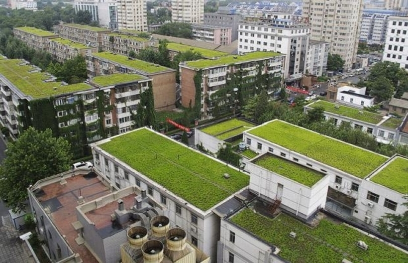 Зелени покриви за почист воздух во Скопје