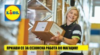 Lidl има потреба од СЕЗОНСКИ РАБОТНИЦИ ВО МАГАЦИН