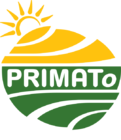 Primato P